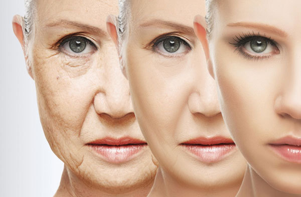 face Regeneration