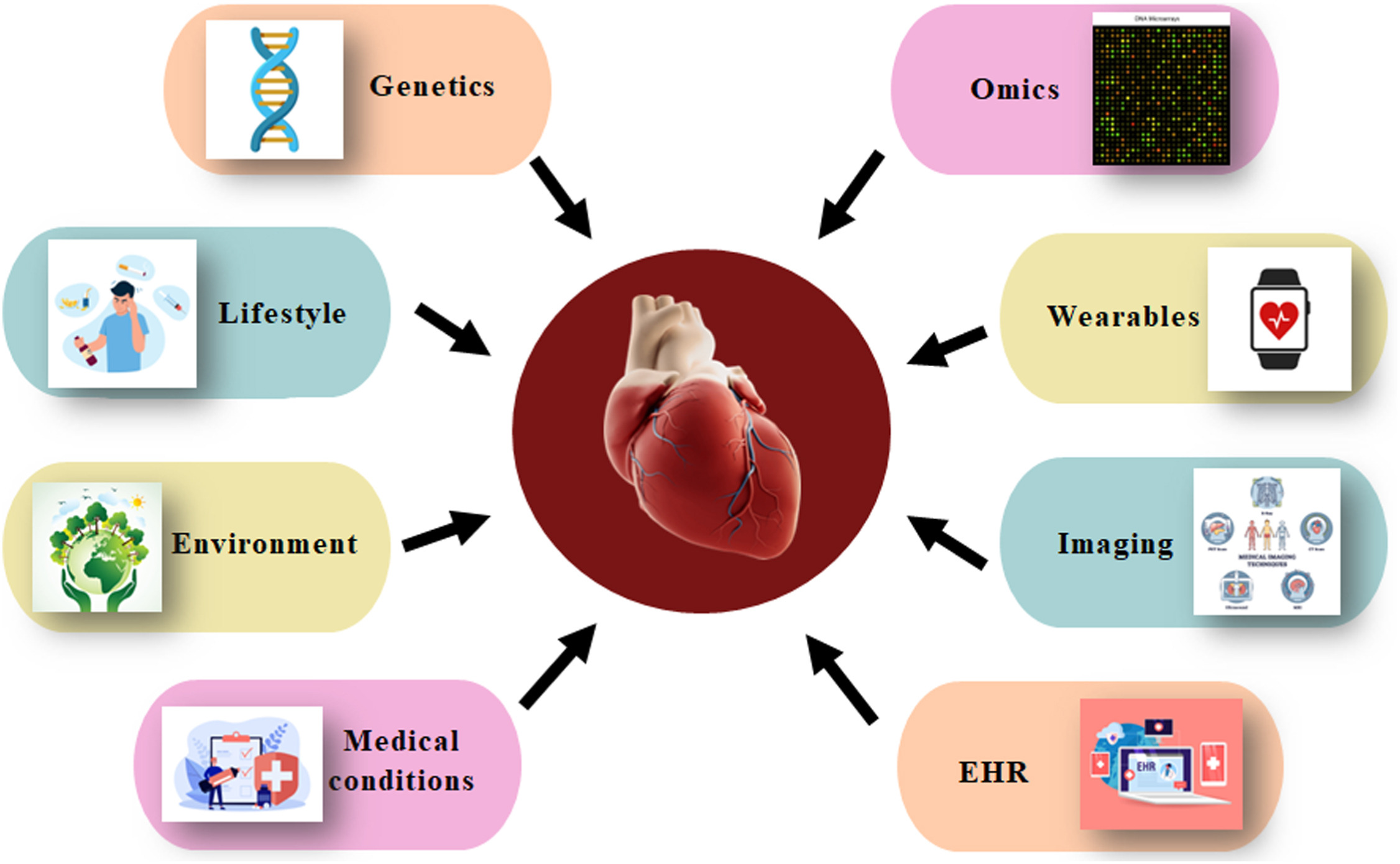 Heart Disease Prediction